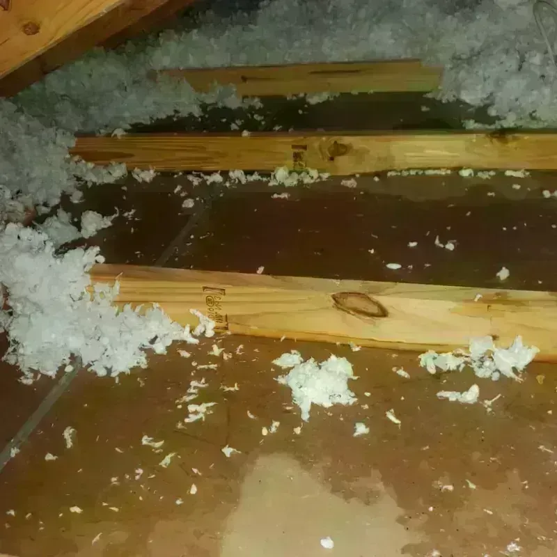 Attic Water Damage in Addison, IL