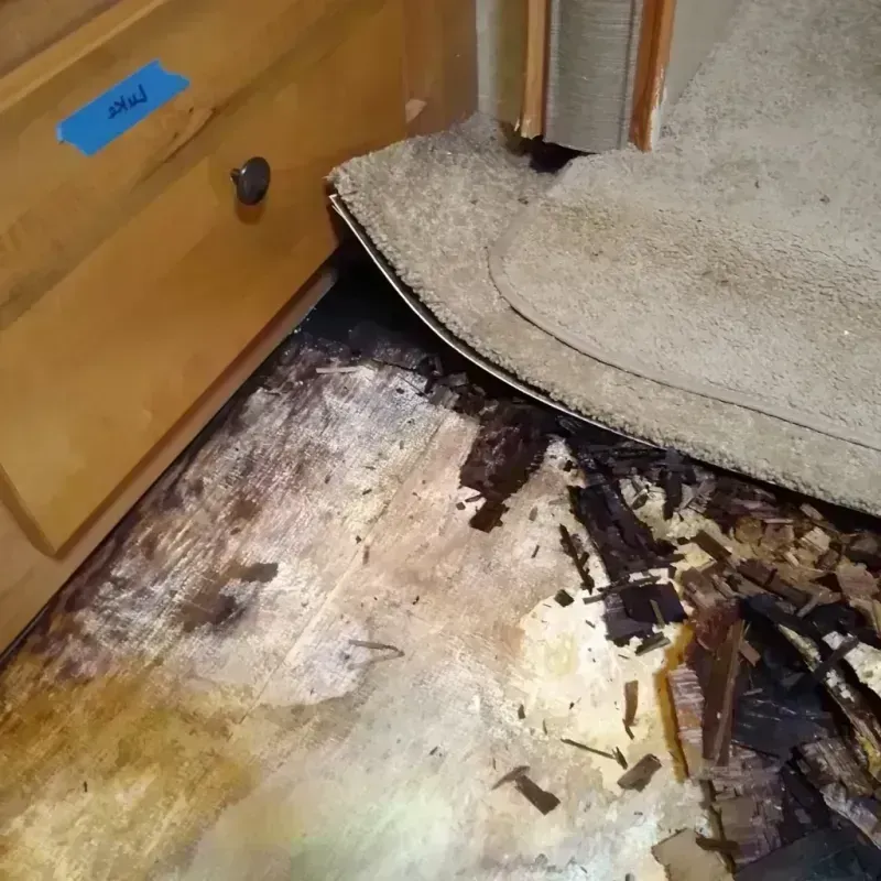 Wood Floor Water Damage in Addison, IL